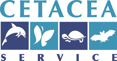 cetacea-service logo bassa